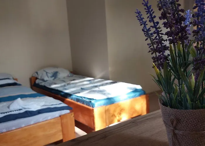 Lawendowy Zakątek Graboszyce