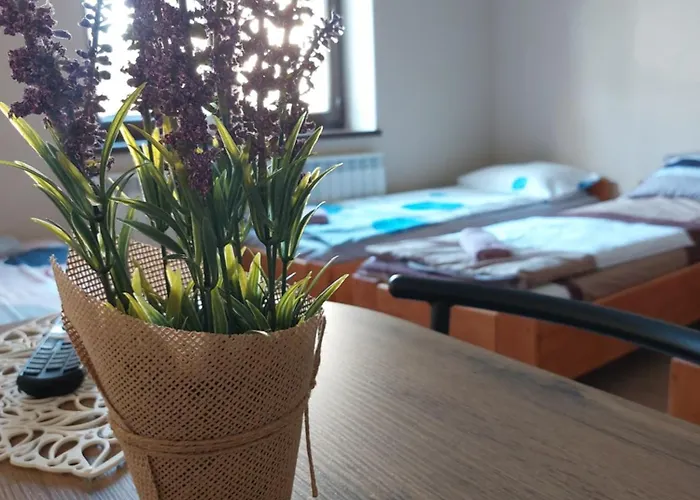 Kwatera prywatna Lawendowy Zakątek